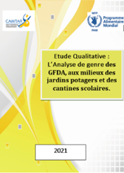 Etude-Qualitative--L%E2%80%99Analyse-de-genre-des-GFDA.png